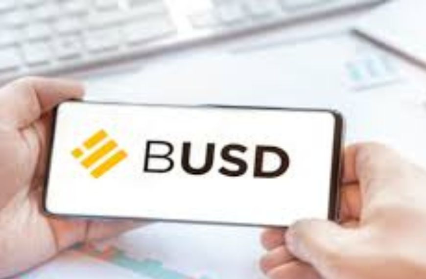 O que significa a sigla BUSD?